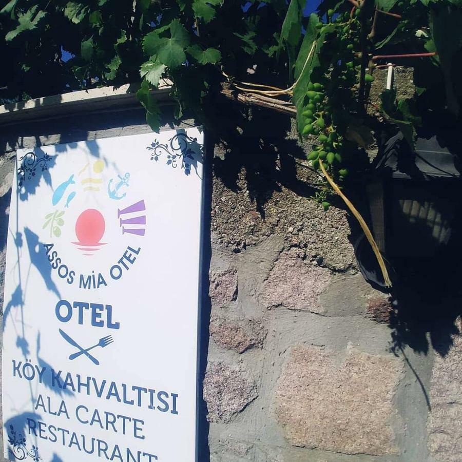 Assos Mia Otel Ayvacik Exterior foto
